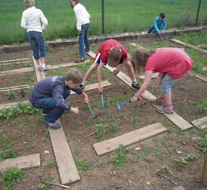 Kinder auf einem Schulgarten