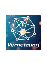 Schulartspezifische Netzwerke