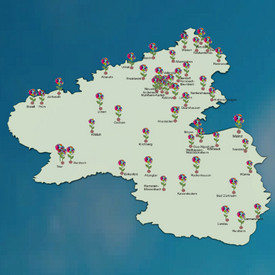 Homepage_Schulen_JG2 Realschulen plus